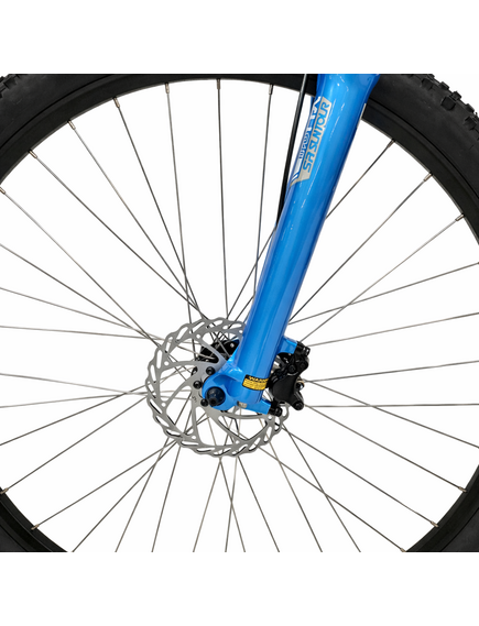 Bicicleta electrica Mtb Graveler 53116 - 29 inch, M, Gri