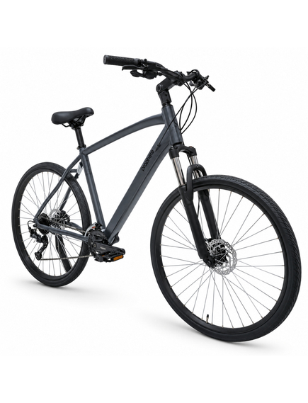 BICICLETA MTB Prophete 52777 - 29 inch, L, GRI