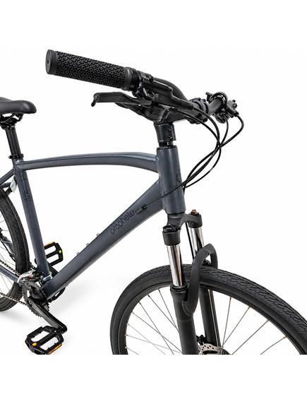 BICICLETA MTB Prophete 52777 - 29 inch, L, GRI