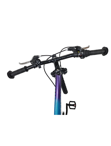 Bicicleta Copii Dhs Terrana 2023B, model 2026 - 20 Inch, Albastru-Violet