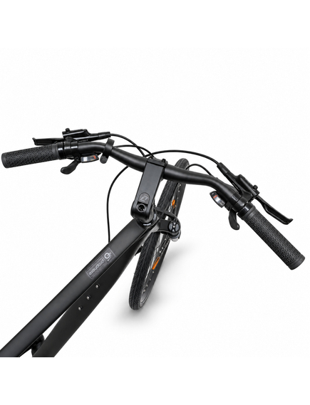 Bicicleta Mtb Prophete 52797 - 29 inch, L, Negru