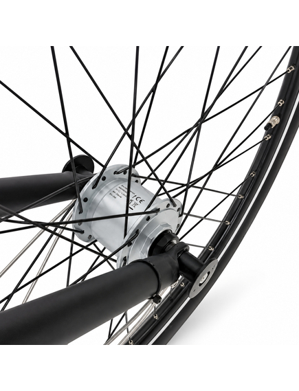 Bicicleta Oras Stella 28087 - 28 inch, L, Gri