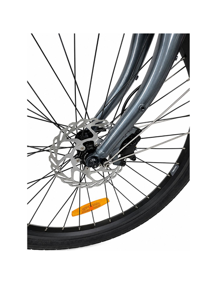 Bicicleta Oras Stella 58344 - 26 inch, M, Gri