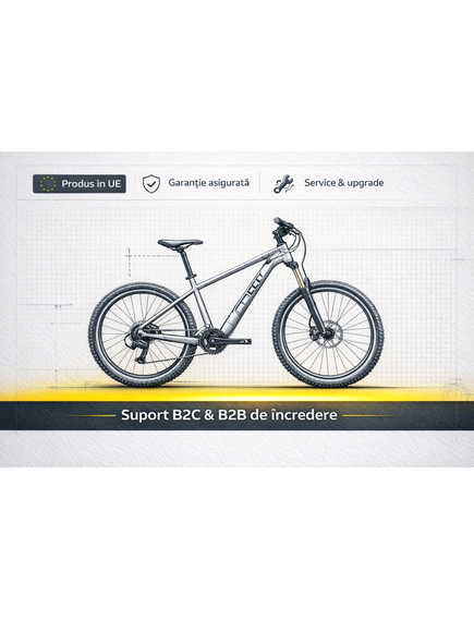 Bicicleta electrica MTB Graveler 52432V2 - 29 inch, M, Negru