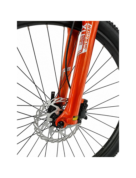 Bicicleta electrica Mtb Prophete 53119 - 29 inch, M, Gri Inchis