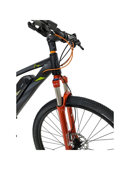 Bicicleta electrica Mtb Prophete 53119 - 29 inch, M, Gri Inchis