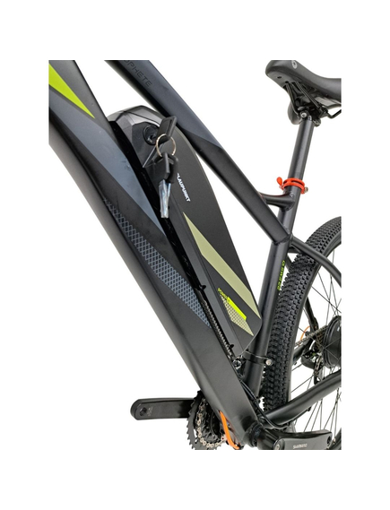 Bicicleta electrica Mtb Prophete 53119 - 29 inch, M, Gri Inchis