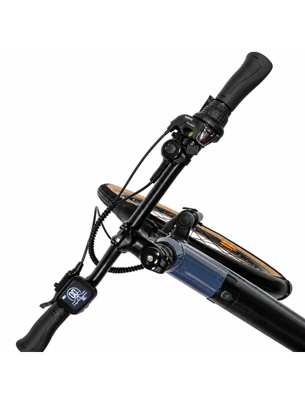 Bicicleta electrica Oras Devron 28200 - 28 inch, L, Gri Inchis