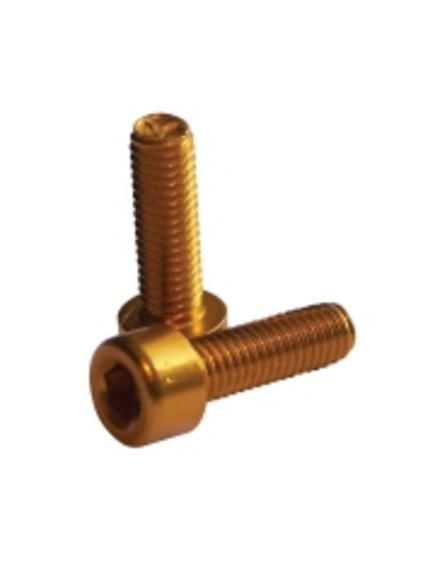 Suruburi Bidonas Cadru Fibrax Fcm3004 - M5 x 15 Mm, Auriu