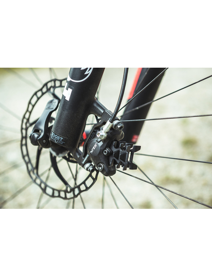 Placute Frana Disc Bicicleta Fibrax Ash995F - Negru, imaginea nr. 2