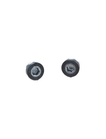Crank Arm Bolts Truvativ M8 Capless - Silver