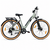Bicicleta electrica Oras Devron 28200 - 28 inch, L, Gri Deschis