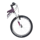 Bicicleta Copii Bulls Tokee 20 - 20 Inch, Violet