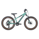 Bicicleta Copii Bulls Tokee 20 Disc  - 20 Inch, Turcoaz