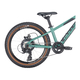 Bicicleta Copii Bulls Tokee 20 Disc  - 20 Inch, Turcoaz