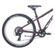 Bicicleta Copii Bulls Tokee 24 - 24 Inch, Violet