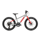 Bicicleta Copii Raymon Yanga 20 Pro 2025 - 20 Inch, Gri - Altus