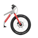 Bicicleta Copii Raymon Yanga 20 Pro 2025 - 20 Inch, Gri - Altus