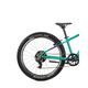 Bicicleta Copii Raymon Yanga 24 2025 - 24 Inch, Verde - TY200
