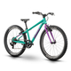 Bicicleta Copii Raymon Yanga 24 2025 - 24 Inch, Verde - TY200