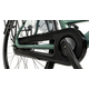 Bicicleta Electrica Stella Livorno Dama FDST RTE 2.1 - 28 Inch, L, Verde