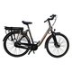Bicicleta Electrica Stella Livorno Dama FDST RTE 2.0 - 28 Inch, L, Gri