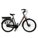 Bicicleta Electrica Stella Livorno Dama FDST RTE 2.0 - 28 Inch, M, Gri Bicicleta Electrica Stella Livorno Dama FDST RTE 2.0 - 28 Inch, M, Gri