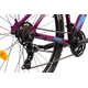 Bicicleta Mtb Terrana 2922 - 29 Inch, M, Violet