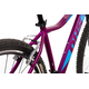 Bicicleta Mtb Terrana 2922 - 29 Inch, S, Violet