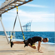 Sistem Trx Bodytrainer Home - Negru-Verde Sistem Trx Bodytrainer Home - Negru-Verde
