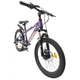 Bicicleta Copii BR BR-D2007M 2025 - 20 inch, Mov