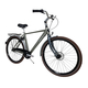 Bicicleta Oras Stella 28081 - 28 inch, L, Gri