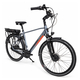 Bicicleta Electrica Trekking Stella 28809 - 28 inch, M, GRI