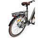Bicicleta Oras Stella 28094 - 28 inch. XL. Gri deschis