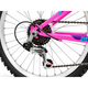 Bicicleta copii Polar Modesty, 24 inch, 6 viteze Shimano, frane V-Brake, Roz