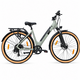 Bicicleta electrica Oras Devron 28200 - 28 inch, L, Gri Deschis