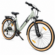 Bicicleta electrica Oras Devron 28200 - 28 inch, L, Gri Deschis