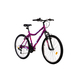 Bicicleta Mtb Terrana 2604 - 26 Inch, Violet, Culoare produs: Violet, imaginea nr. 2