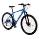Bicicleta Mtb Terrana 2905 - 29 Inch, L, Albastru, Culoare produs: Albastru, Marime produs: L, imaginea nr. 2