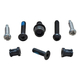 05-09 X9 Rear Derailleur Screw/Bolt Kit - Silver-Black